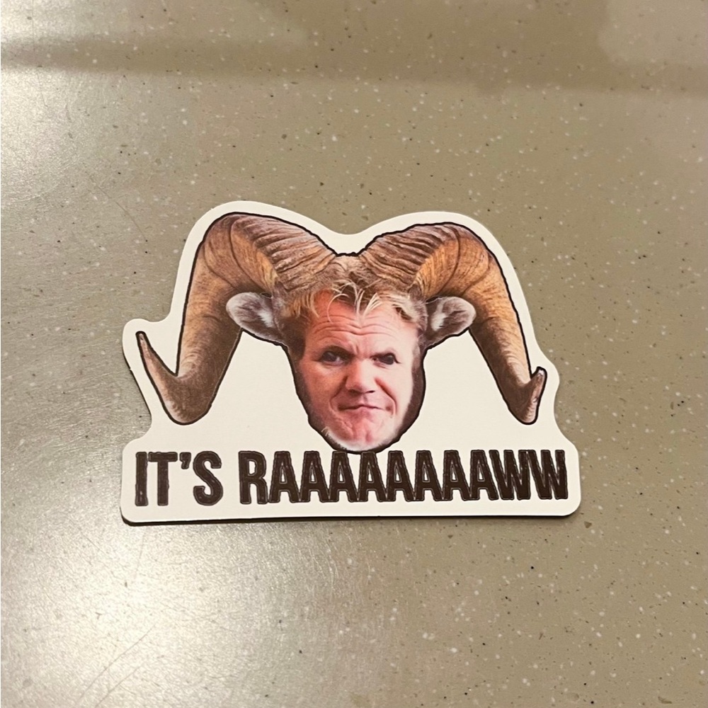 Gordon Ramsey Magnet Funny